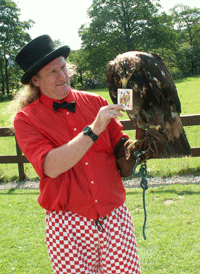 fuzzy the juggler with a golden eagle Sky